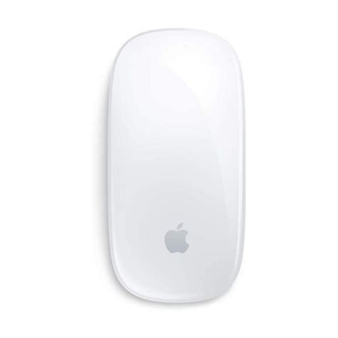 Magic mouse with a physical wire